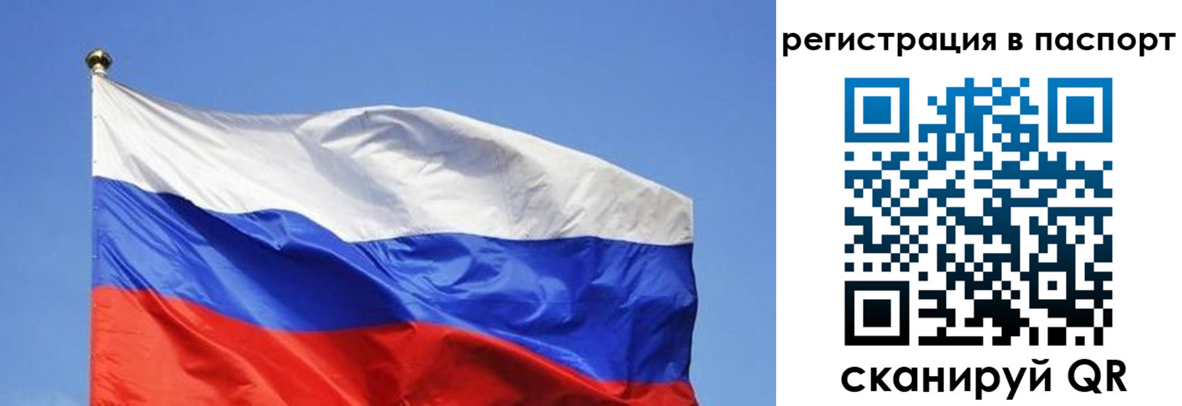 прописка в квартире в Мурино